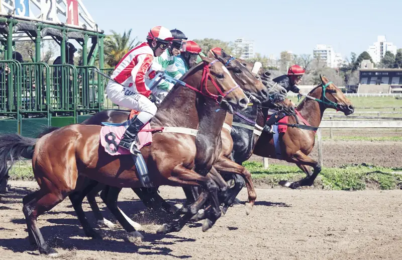 Martes 28: Actividad Hipódromo de La Plata