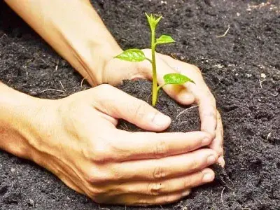 Día nacional de la conservación del suelo: protegerlos es asegurar alimentos, biodiversidad y futuro