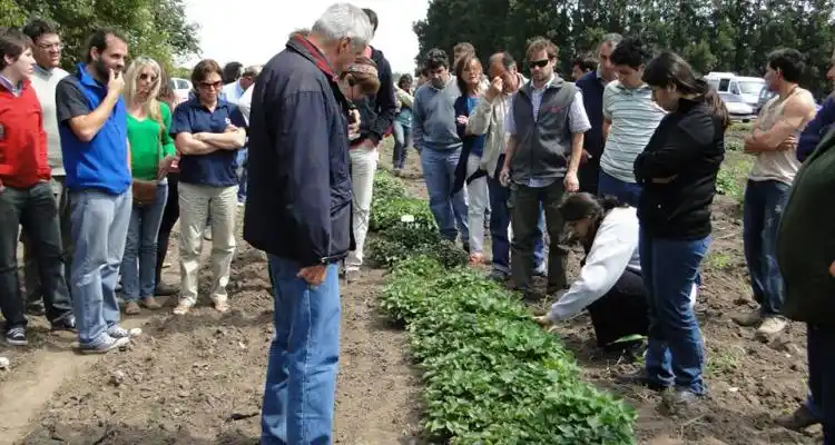 Inta: Postergaron el “Día de Campo”