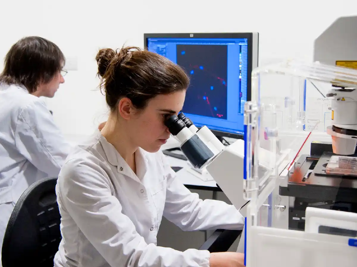 El Senado emitió dictamen favorable al proyecto para aumentar el financiamiento para la ciencia