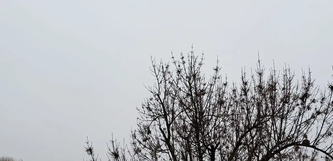 Advierten sobre probables tormentas fuertes y la llegada de un frente frío