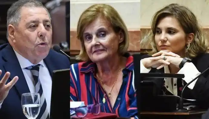 Ficha Limpia: cómo votaron los senadores entrerrianos