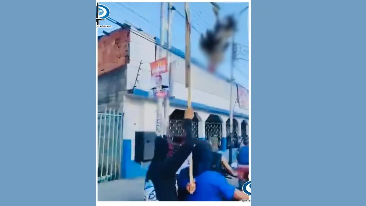 Fiscalía investigará ahorcamiento de un gallo en marcha opositora (+Video)