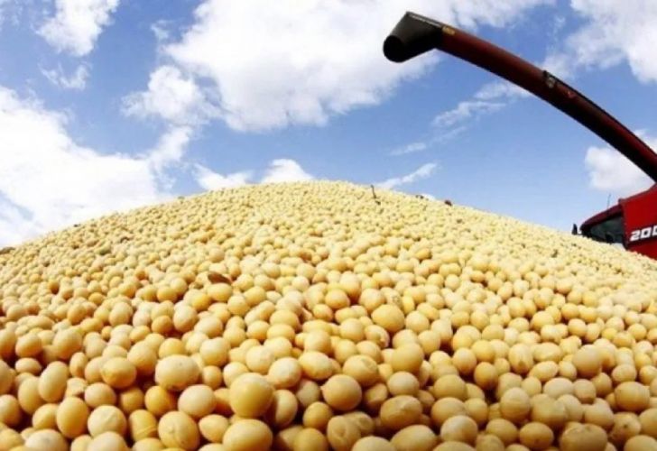 Stocks24 detalla el precio récord de la soja