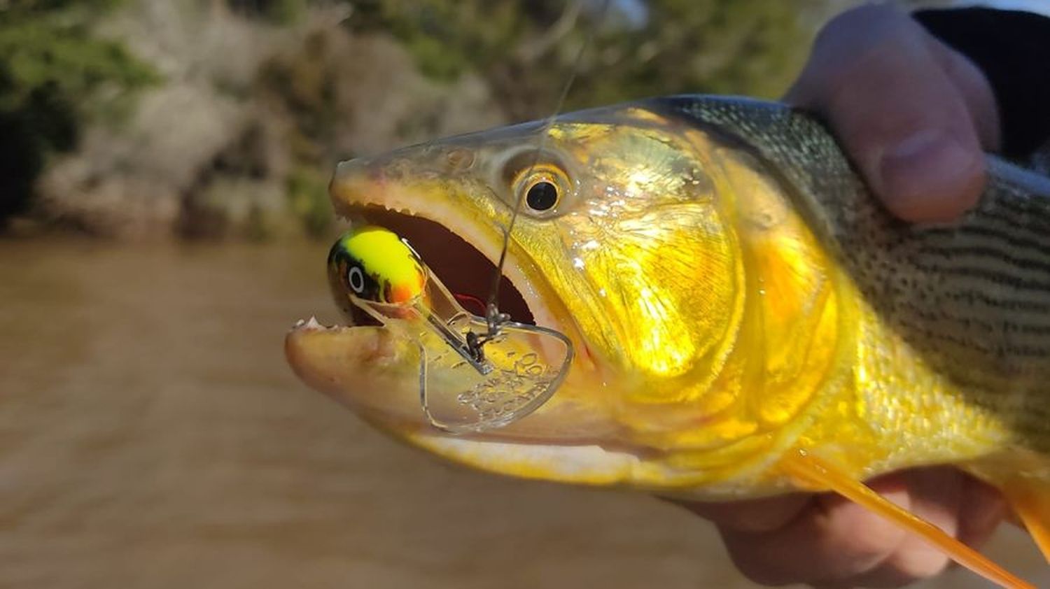 Lugares pesqueros para cerrar el mes de octubre