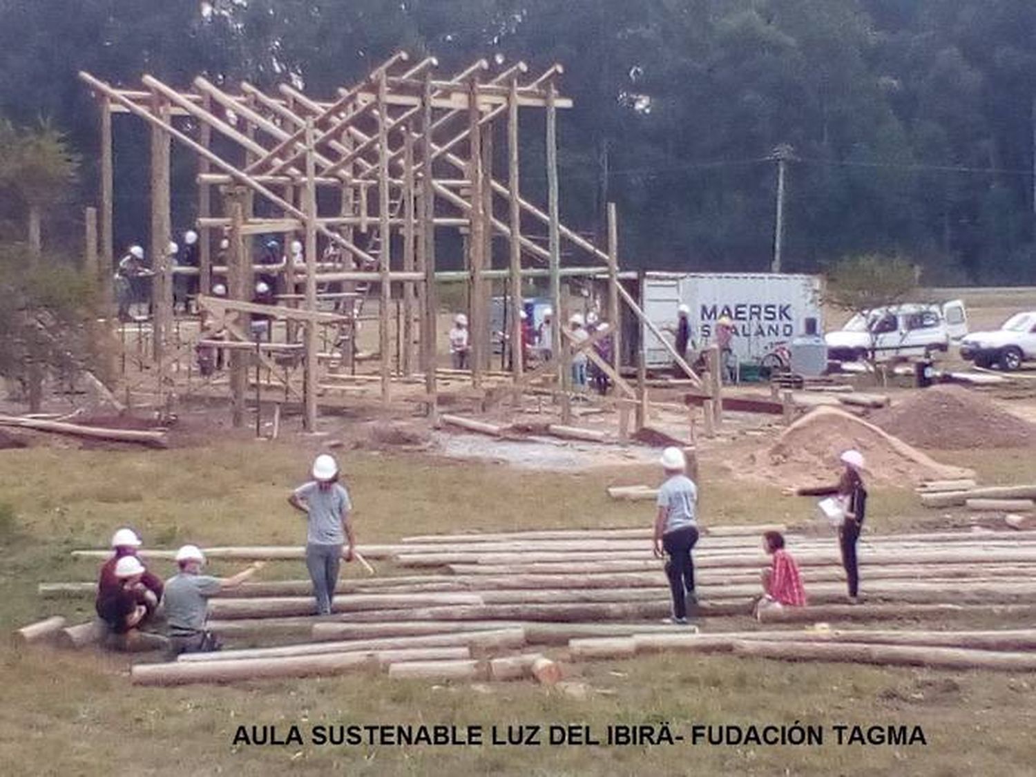 Eucalipto redondo: ideal para  la construcción �Sposte-viga⬝  