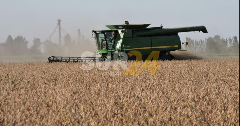Impuesto a la renta inesperada: “Lo van a pagar los productores”