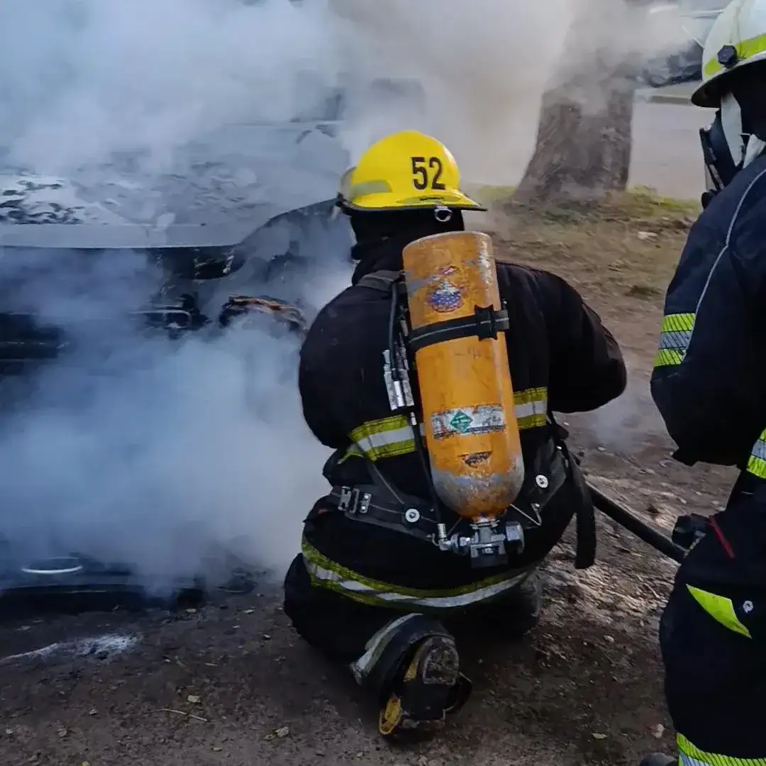 Incendio Venado