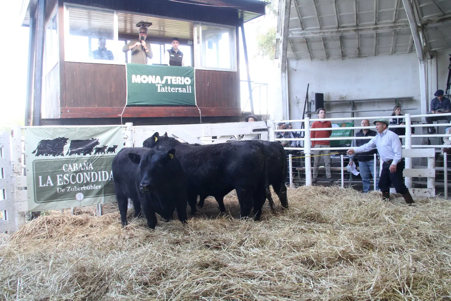 A La Escondida le descubrieron los toros en una hora