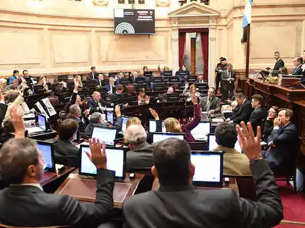 Tensa sesión en el Senado por jubilaciones y discapacidad