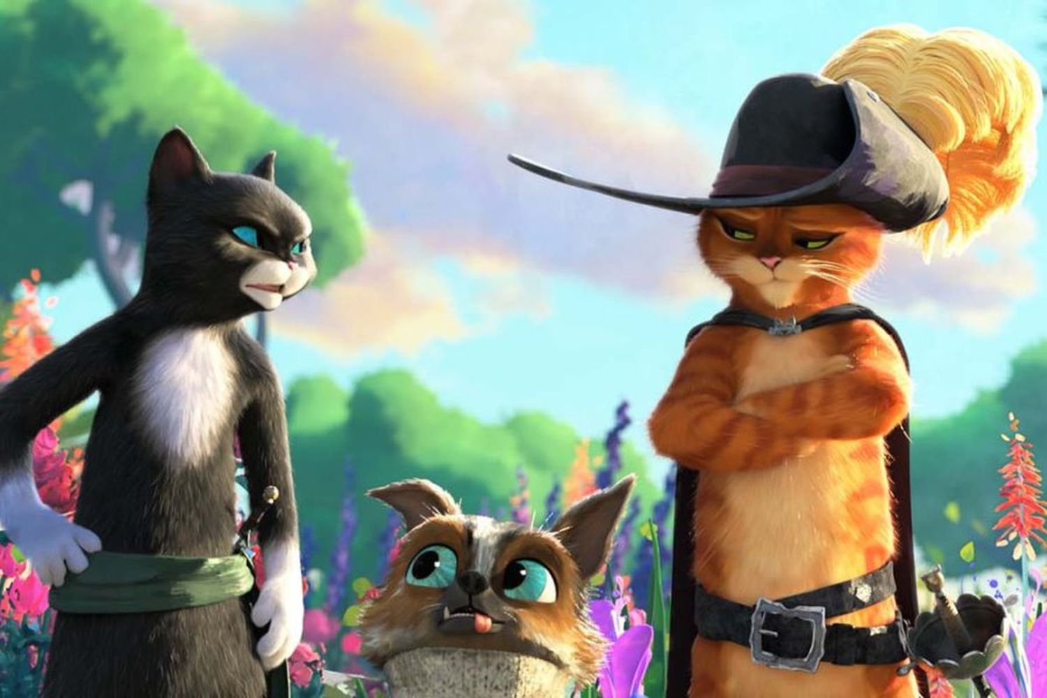 El Gato con Botas, La entrada general es de $800.