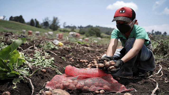 Consecuencias de la PANDEMIA: Colombia entra en recesión por primera vez en dos décadas