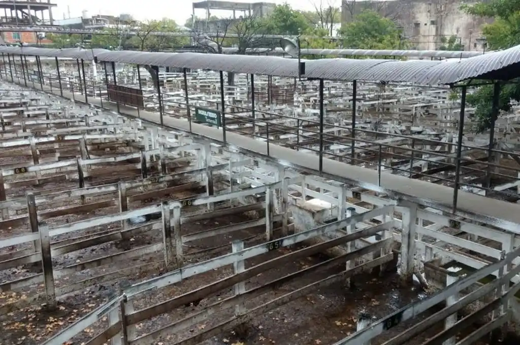 La Sociedad Rural de Santa Fe manifestó su adhesión al cese de comercialización