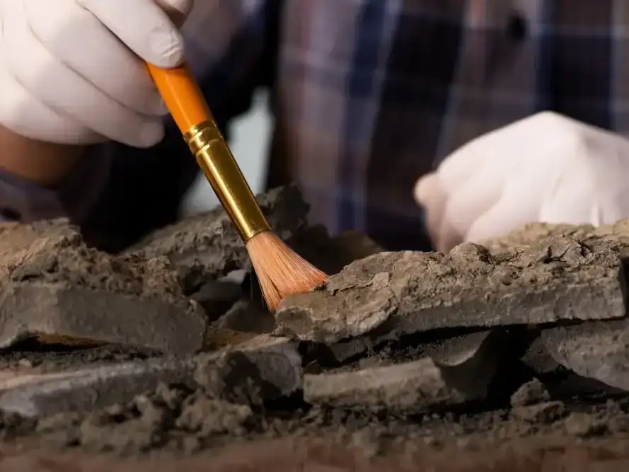 Autorizan excavaciones arqueológicas en seis departamentos de Entre Ríos