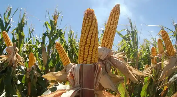 La naturaleza provoca un cambio moral