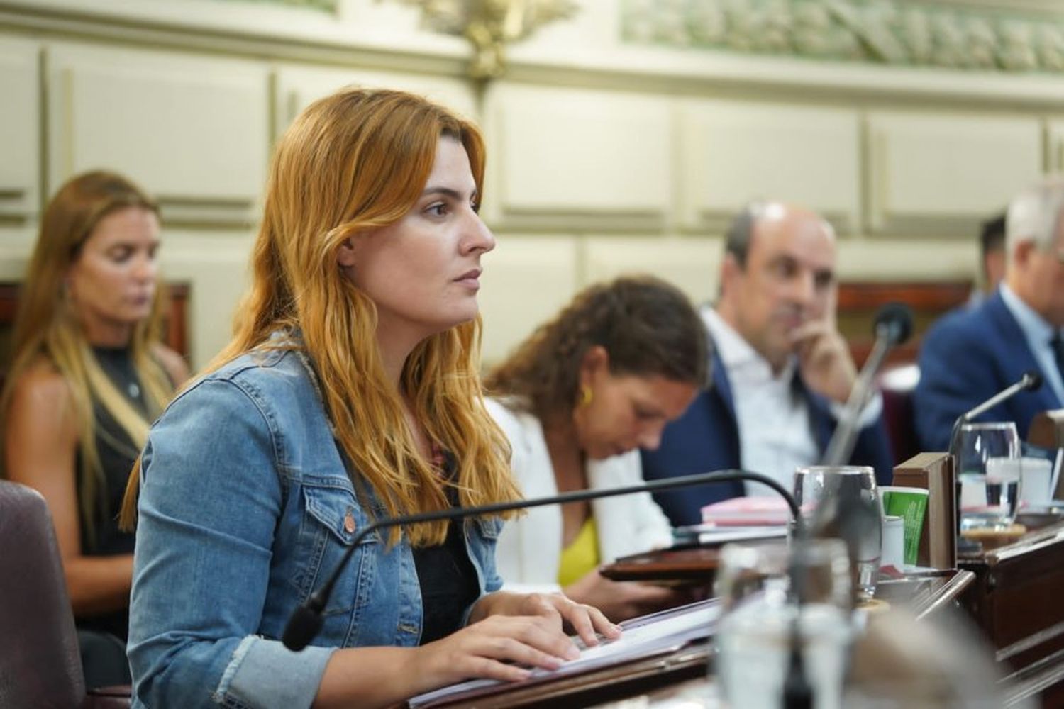 Diputados aprobó una reforma para fortalecer al MPA: "Estas modificaciones apuntan a que sea confiable, transparente y ordenado"