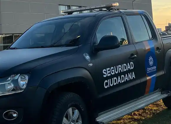 Detuvieron a tres menores que intentaban destruir una carroza