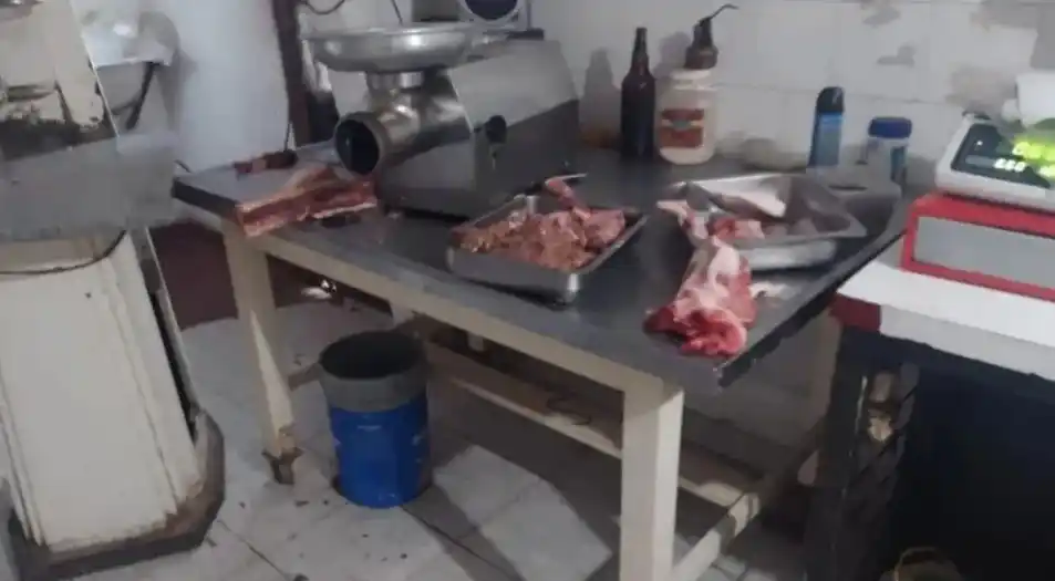 General Alvarado: Robaban vacas y las faenaban en forma clandestina para su comercialización