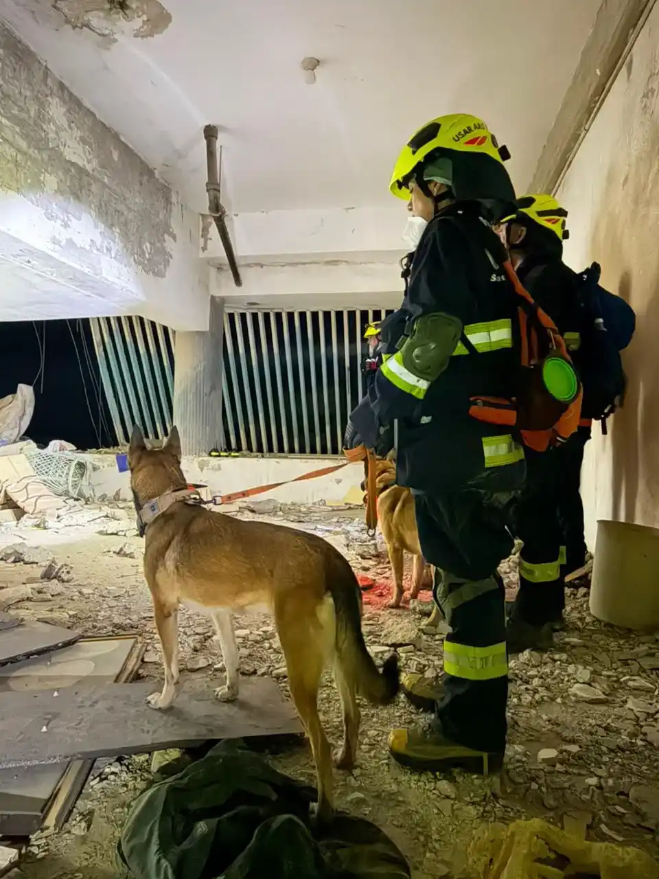 Brigada santafesina en Venezuela: escáneres, sensores y perros en la primera búsqueda en zona de desastre