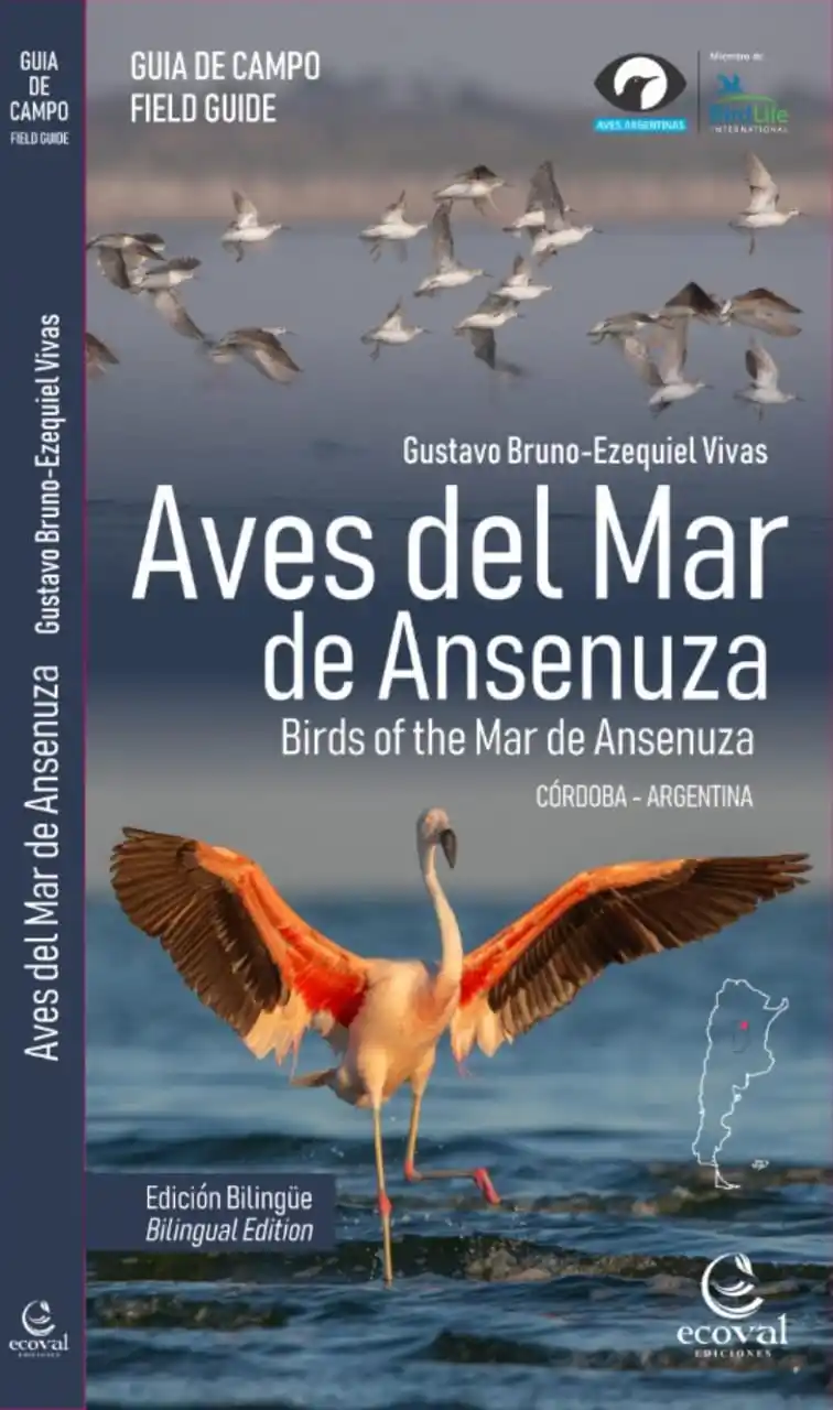 aves del mar de ansenuza