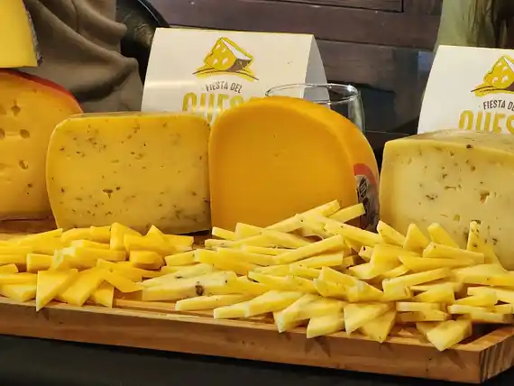 Regresan a la Fiesta del Queso las Catas Sensoriales de Quesos Tandileros