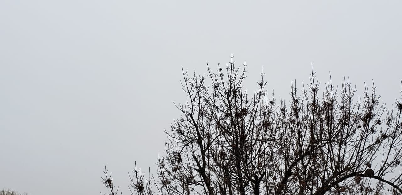 Advierten sobre probables tormentas fuertes y la llegada de un frente frío