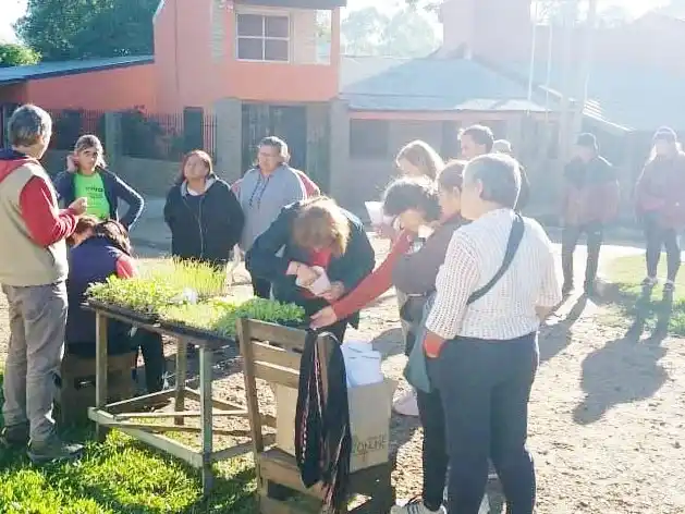 En el barrio Tavella Sur impulsan huertas familiares agroecológicas