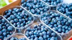 Sectores arandanero y arrocero valoraron las medidas anunciadas por el gobierno