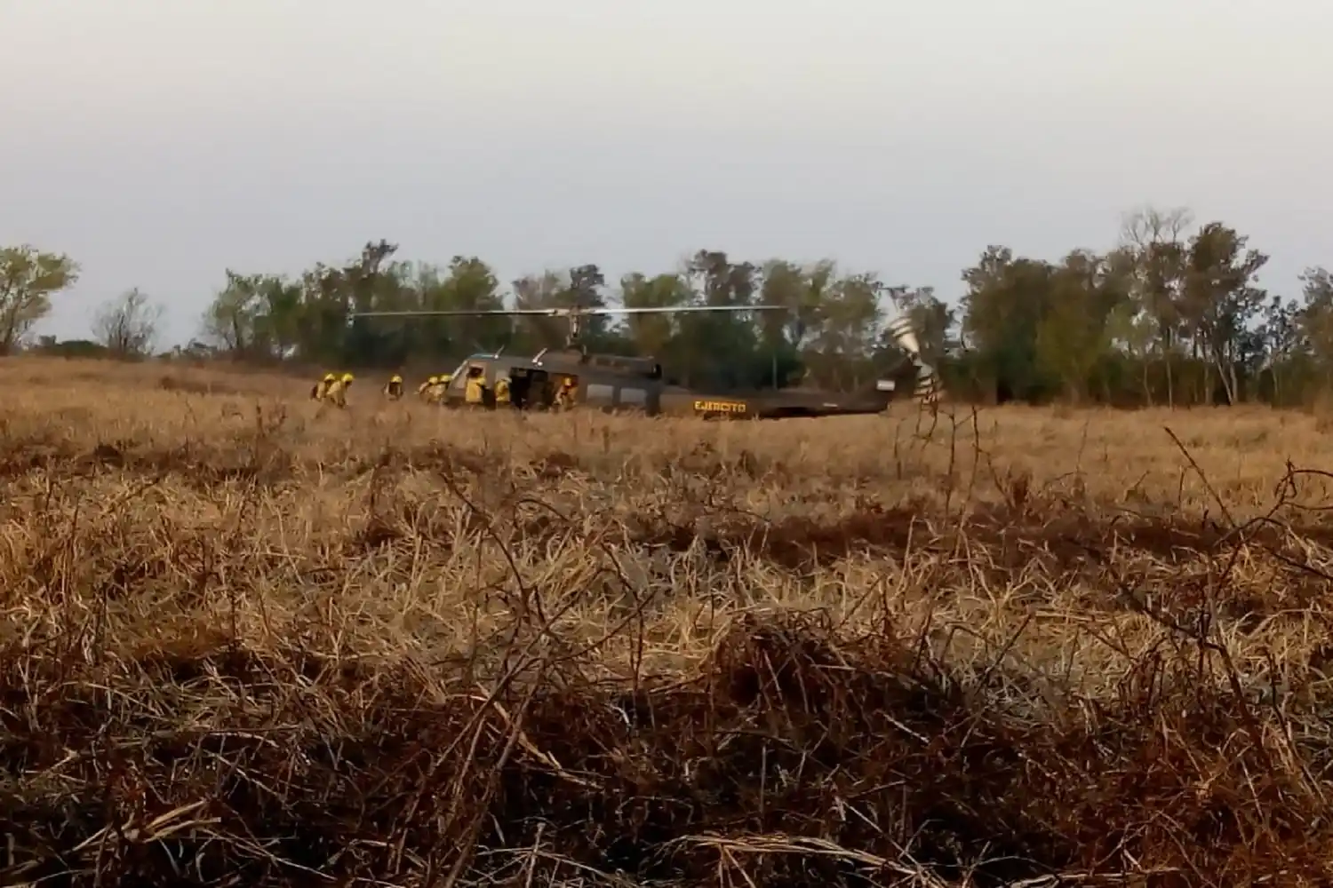 Islas del Delta: la provincia sigue trabajando en los incendios
