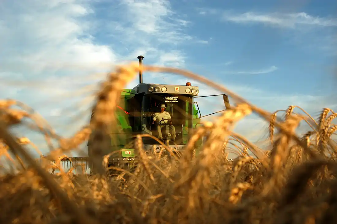Tras el aumento de la nafta y el gasoil, suben los biocombustibles