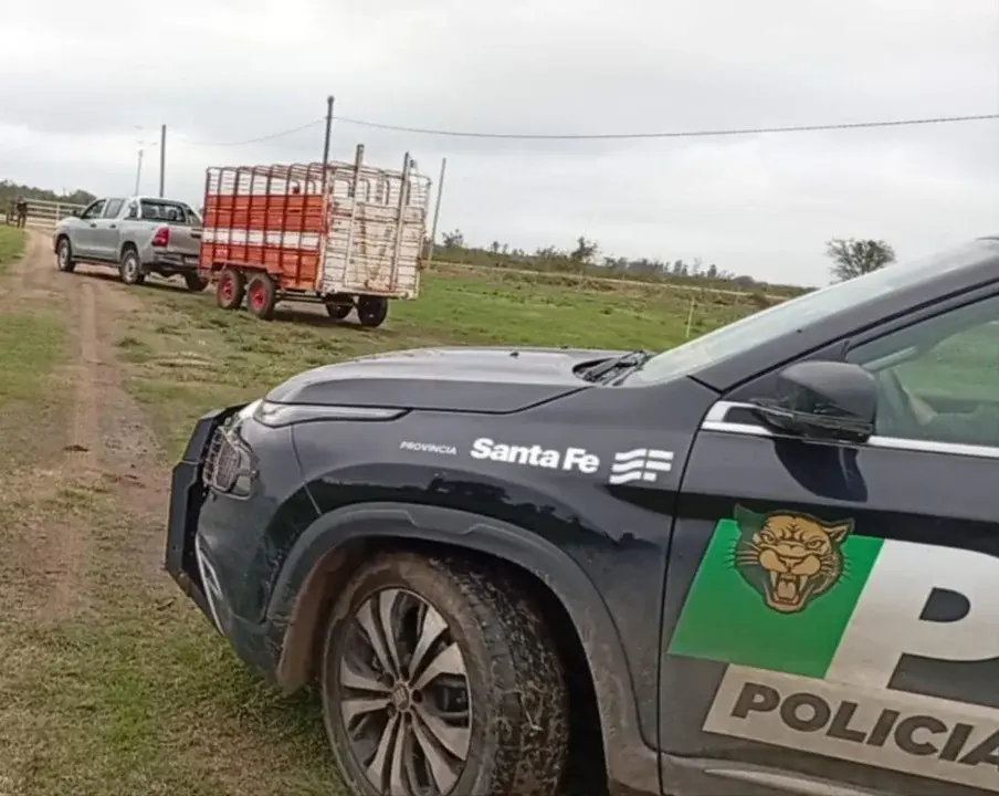 Recuperaron seis terneros y secuestraron dos armas de fuego durante allanamientos en la región