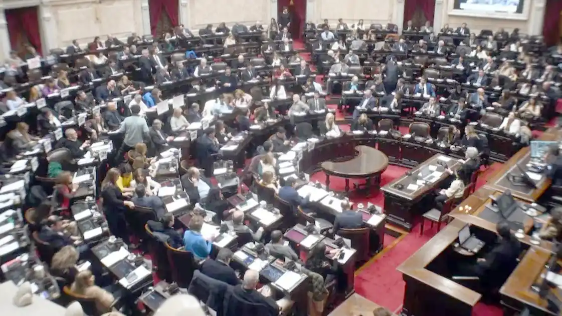 En vivo: Diputados trata leyes de financiamiento para las universidades y el Hospital Garrahan