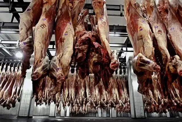 Rusia suspende en forma temporal la importación de 5 frigoríficos argentinos
