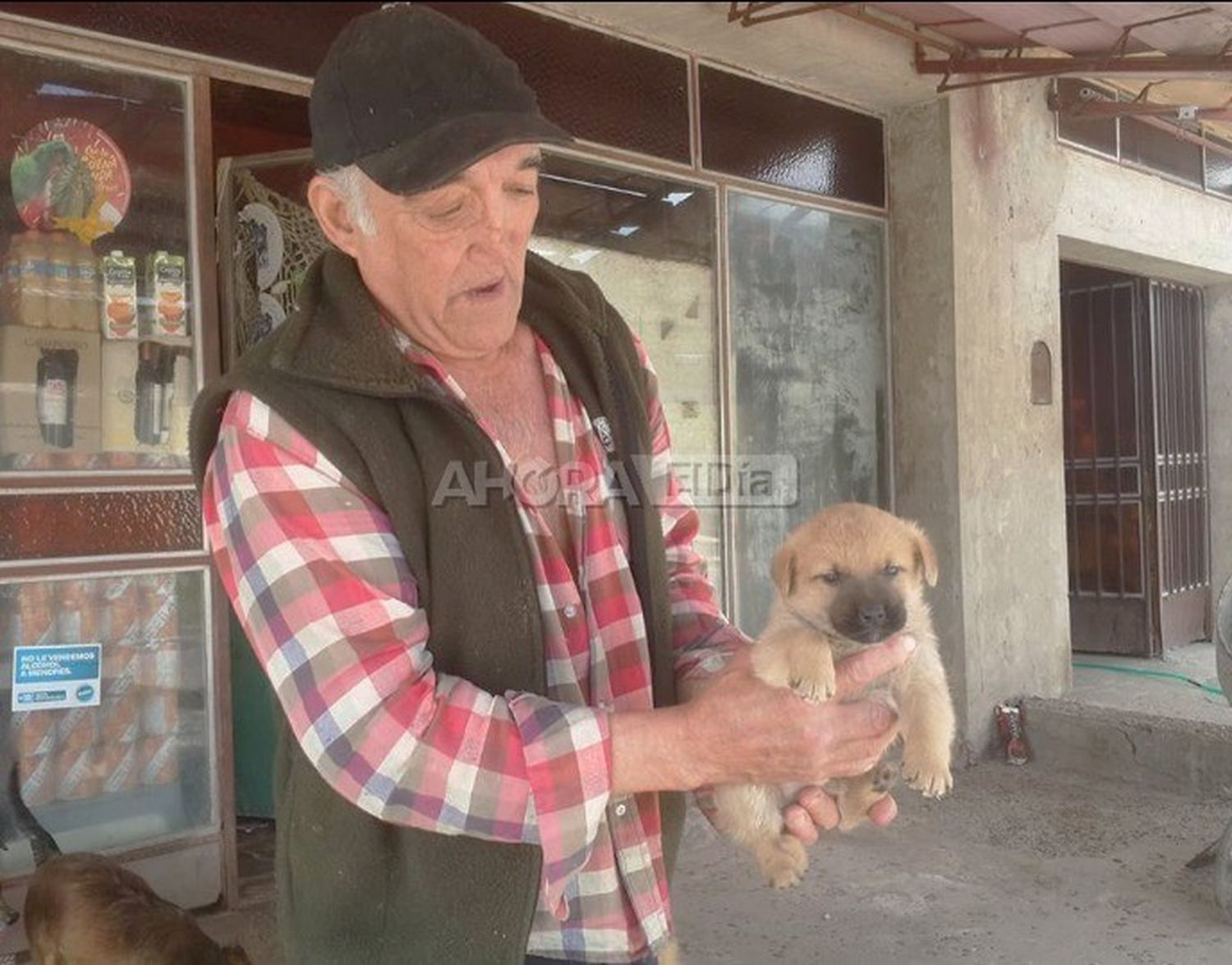Revelaron cómo murió el vecino que vivía con más de 50 perros