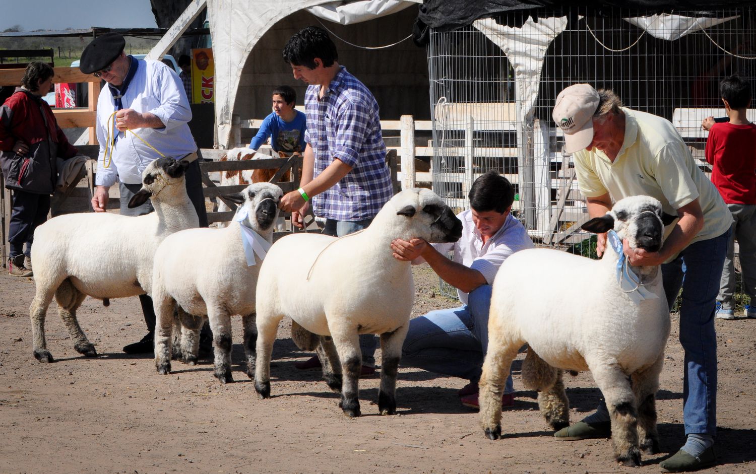 Un restaurante ovino y el concurso del "cordero guacho", los nuevos atractivos de la Expo Rural 2019
