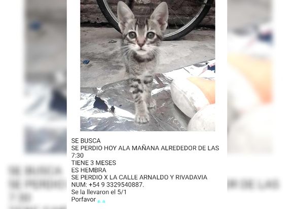 Se perdió en Arnaldo y Rivadavia