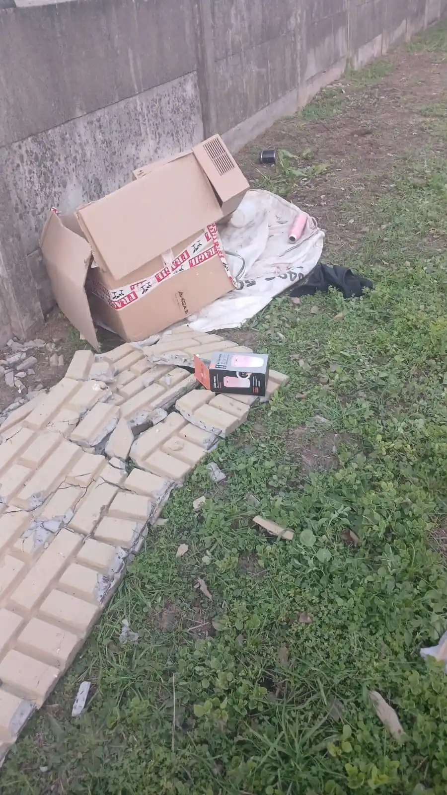 destrosoz babrdasoli - 1