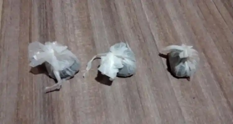 En poder de un hombre de 32 años secuestraron diez bagullos de marihuana