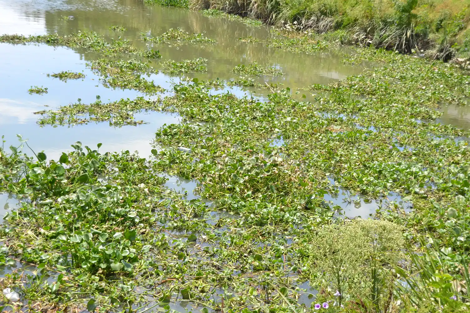 Berisso prohibió el acampe y permanencia en la costa