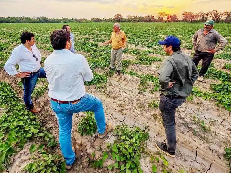Formosa, tercera productora nacional de batata