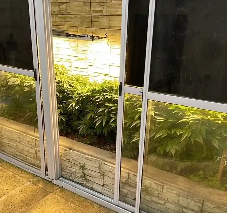 Grow shop ubicado sobre calle Magallanes.