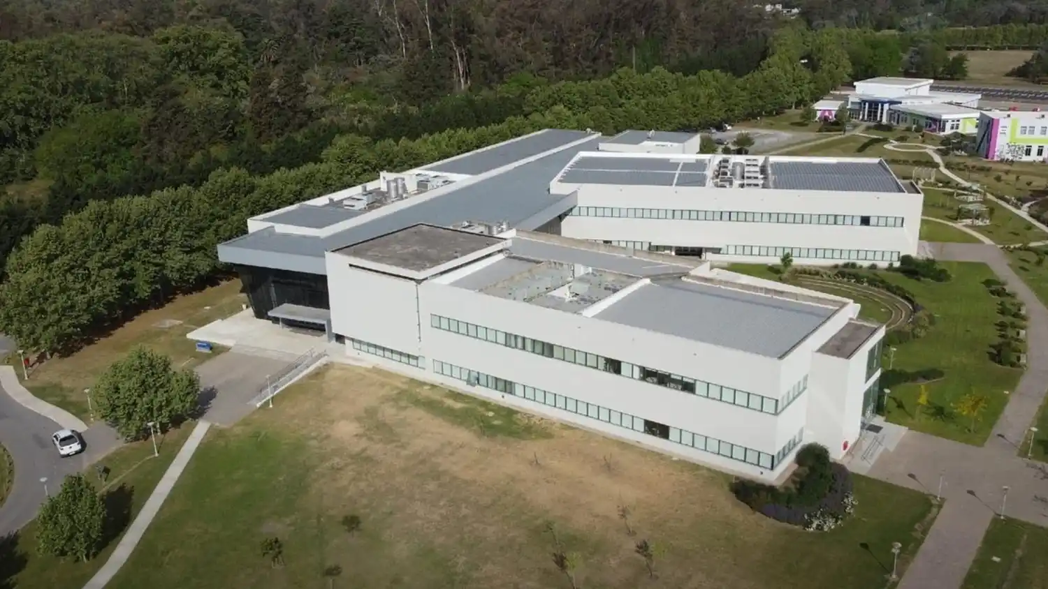 Para la Universidad Austral, las empresas ya no compiten solas, sino en red.