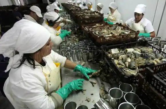 Industria conservera: “Estamos atravesando una de las peores crisis que hemos vivido”