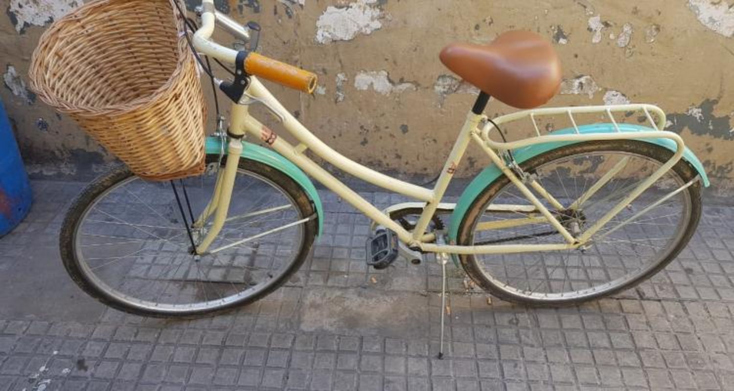 Detienen a chicos de 11 y 16 años que robaron una bicicleta y celulares a otros niños en el Paseo Público