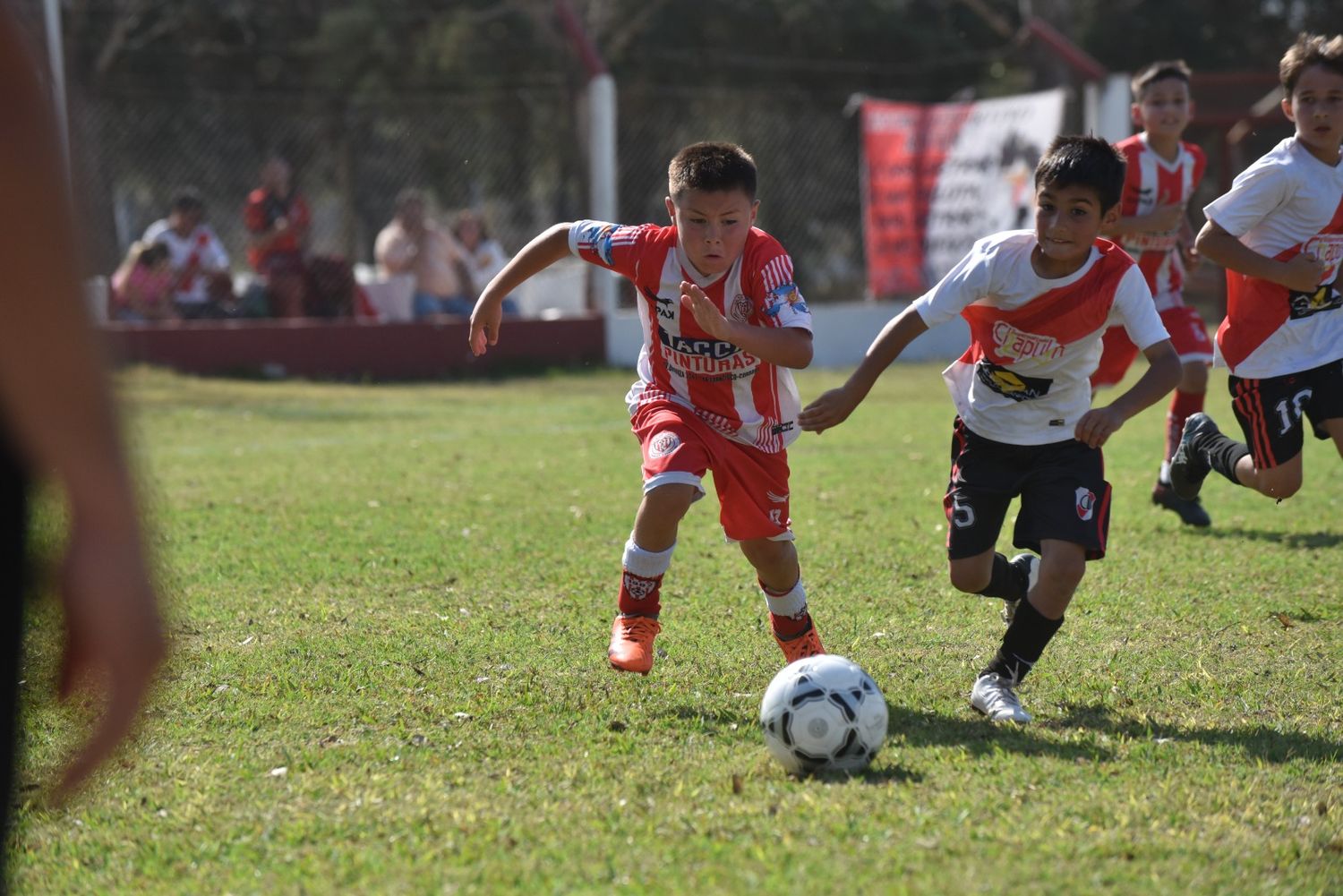 Los niños jugarán una nueva fecha del Clausura.