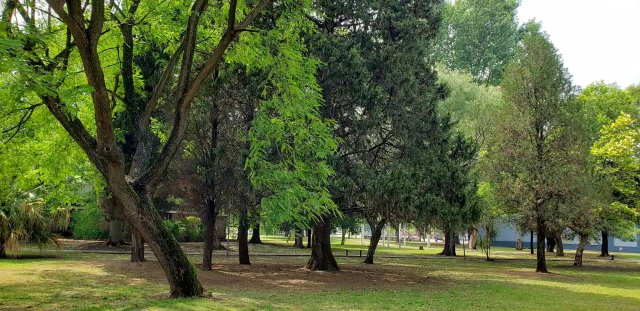 De momento son 6 milímetros de lluvia caída