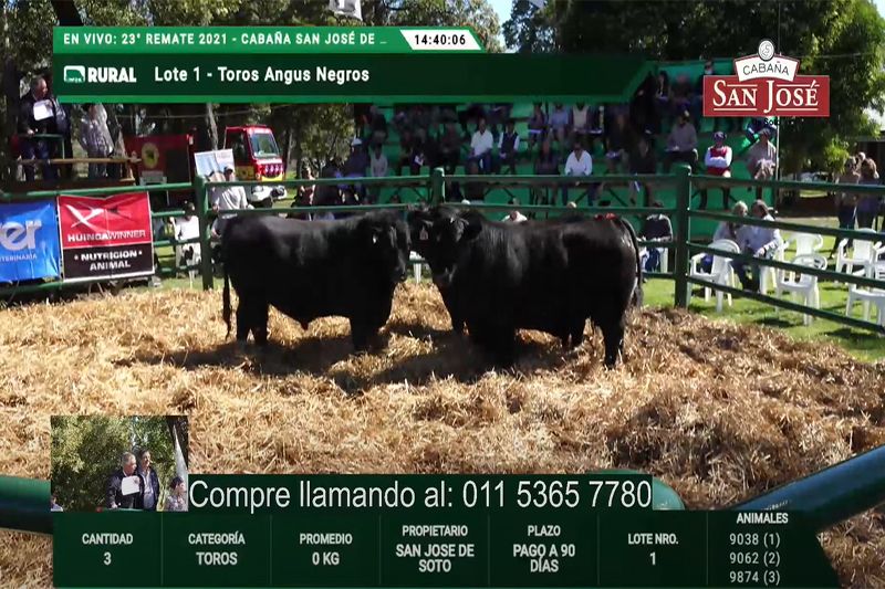 Los Arzoz, como si fueran locales en Madariaga