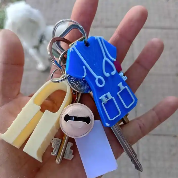 Hallaron llavero en la vía publica