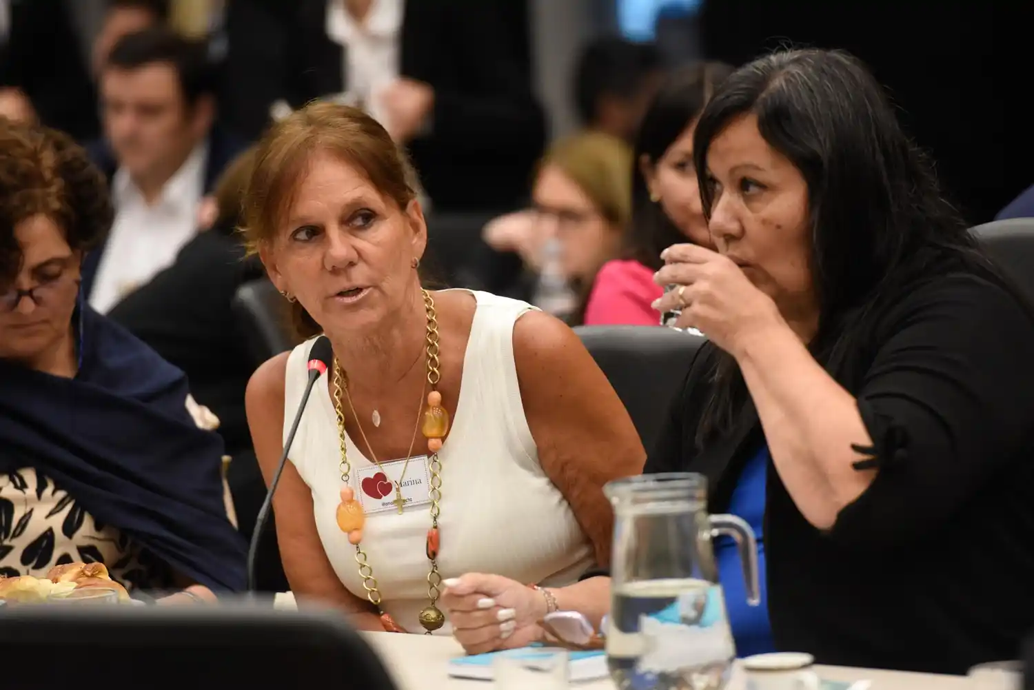 Marina Charpentier expuso ante el plenario de comisiones de la Cámara de Diputados que trata la "ley ómnibus".