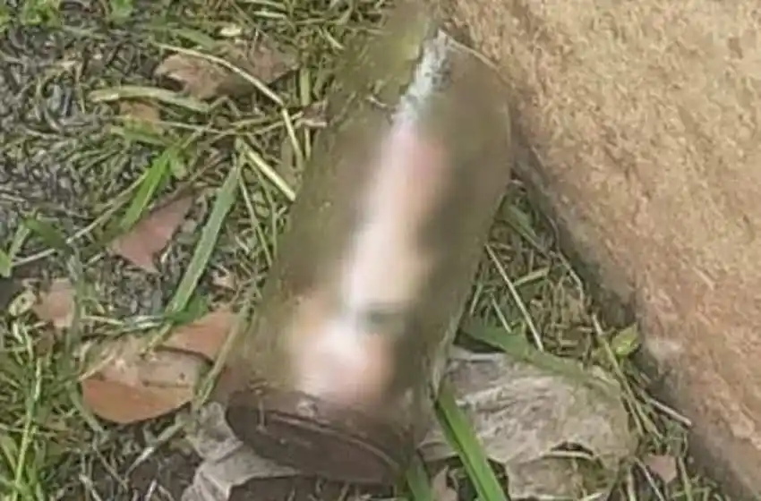 Insólito: cortaba el césped en el frente de una casa y encontró un pene dentro de un frasco